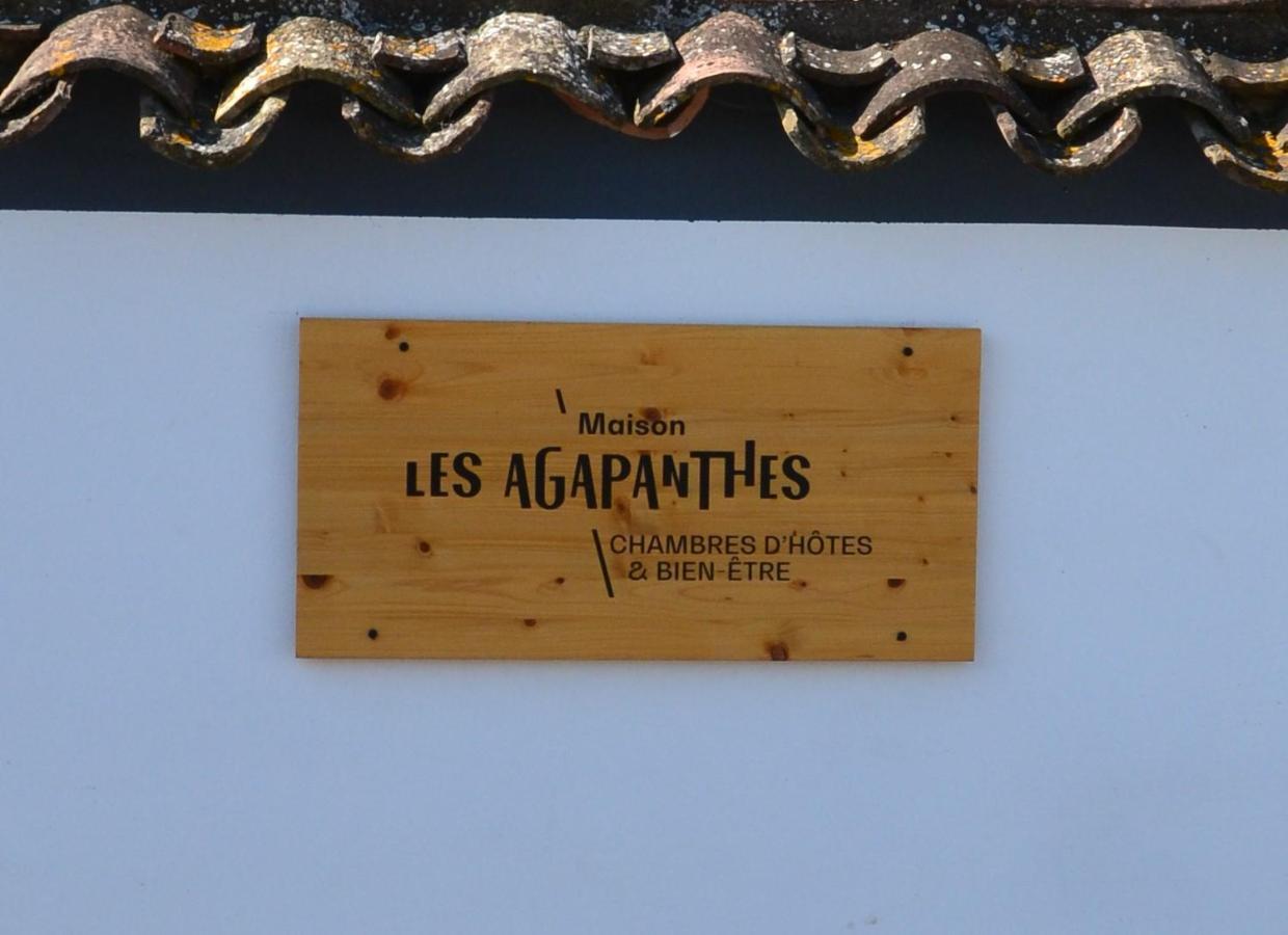 Villeneuve-lès-Béziers Maison Les Agapanthes מראה חיצוני תמונה